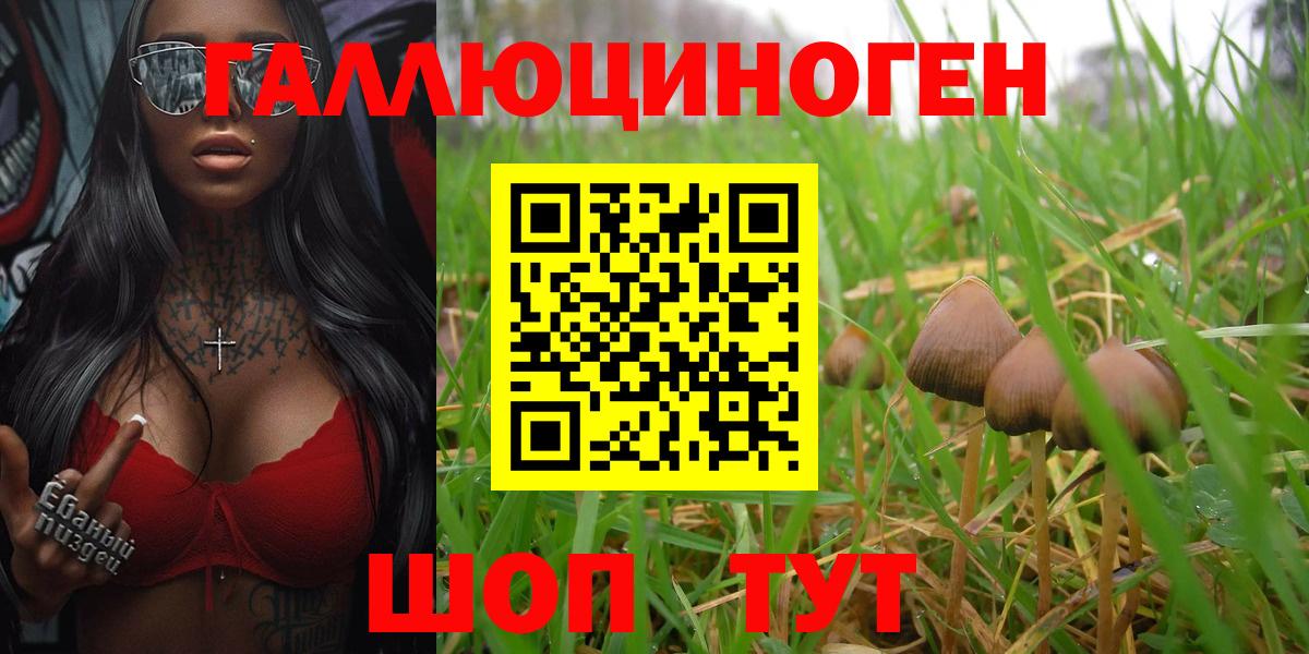 Псилоцибиновые грибы прущие грибы Новокубанск