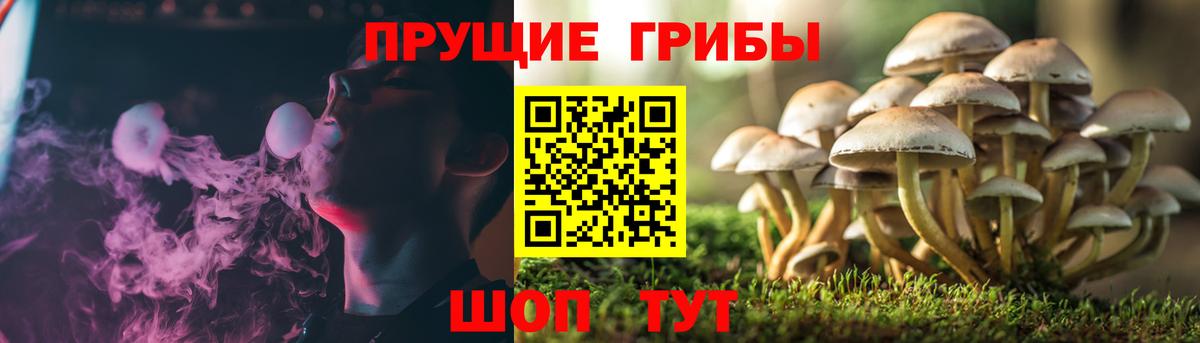 Новокубанск  наркошоп  Псилоцибиновые грибы GOLDEN TEACHER  Вход с VPN  Галлюциногенные грибы ЛСД 
